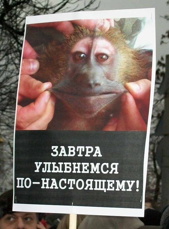 улыбка.jpg