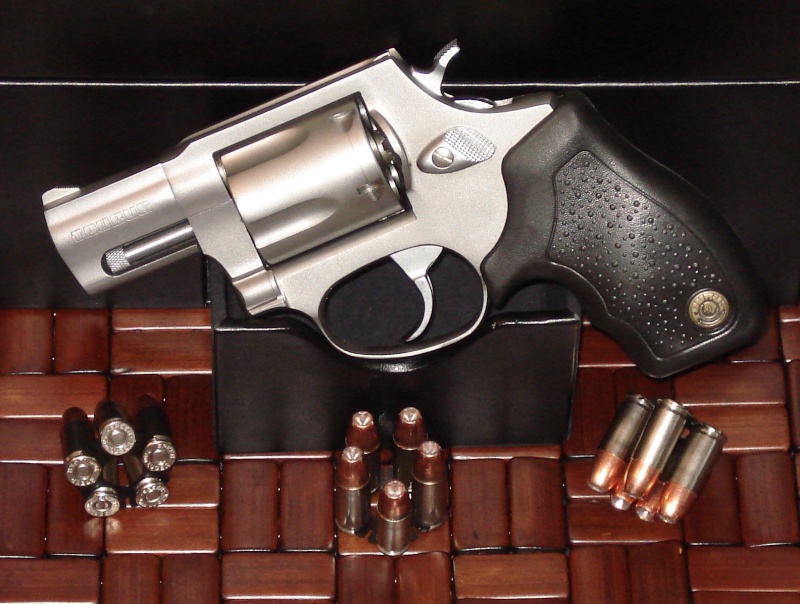 taurus19.jpg