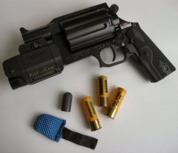 DefenderPistolCam365.JPG